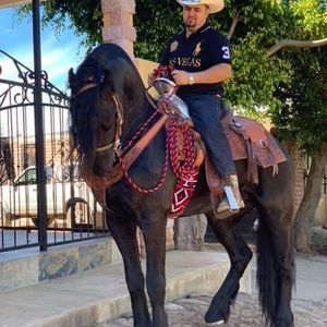 Meet your Posher, Juan c